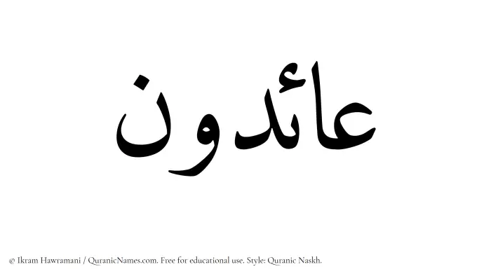 The Muslim name Aaidun written in Quranic naskh script