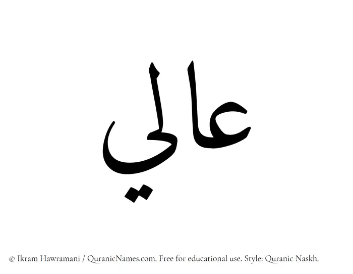 The Muslim name Aali written in Quranic naskh script