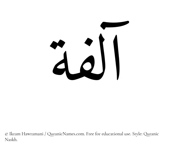 The Muslim name Aalifa written in Quranic naskh script