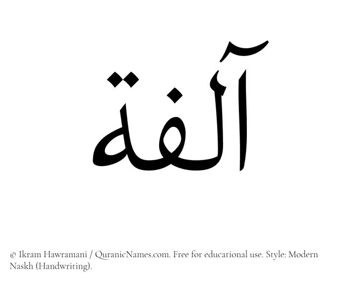 The Muslim name Aalifa written in naskh script