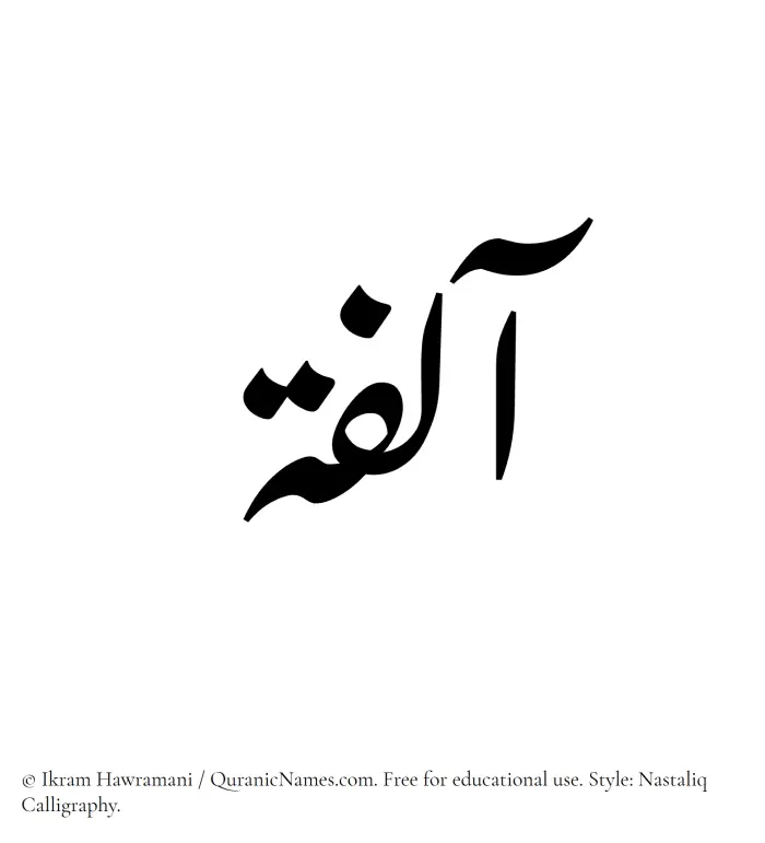 The Muslim name word Aalifa written in Nastaliq calligraphic script