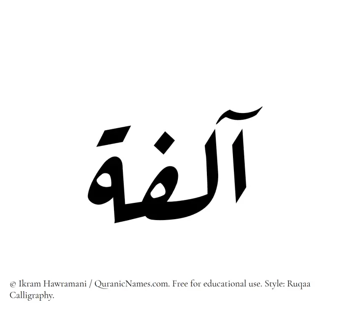The Muslim name Aalifa written in Ruqaa calligraphic script