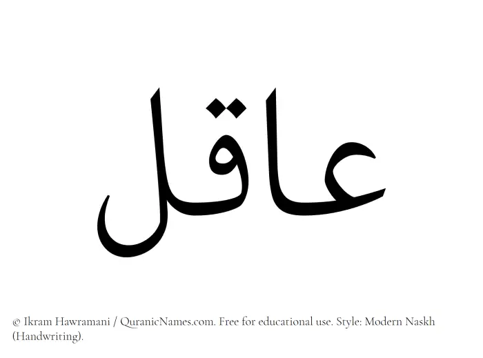 The Muslim name Aaqil written in naskh script