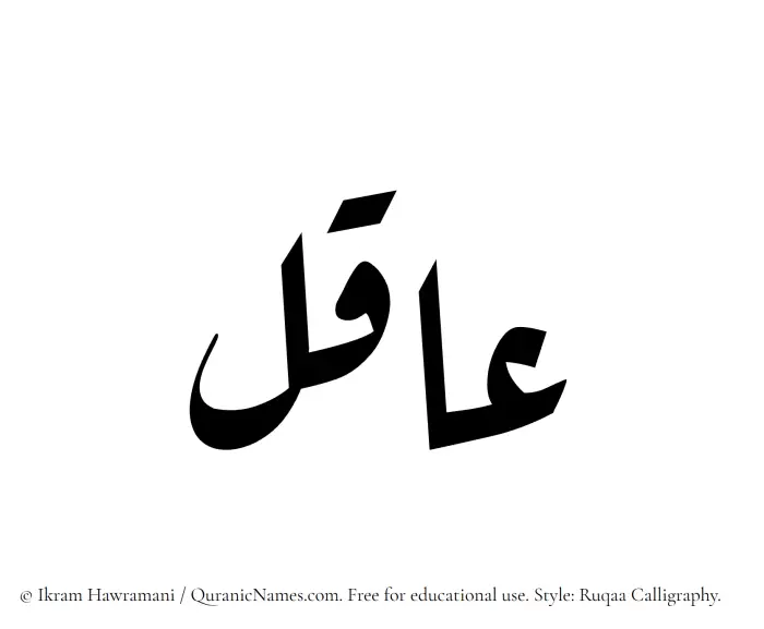 The Muslim name Aaqil written in Ruqaa calligraphic script