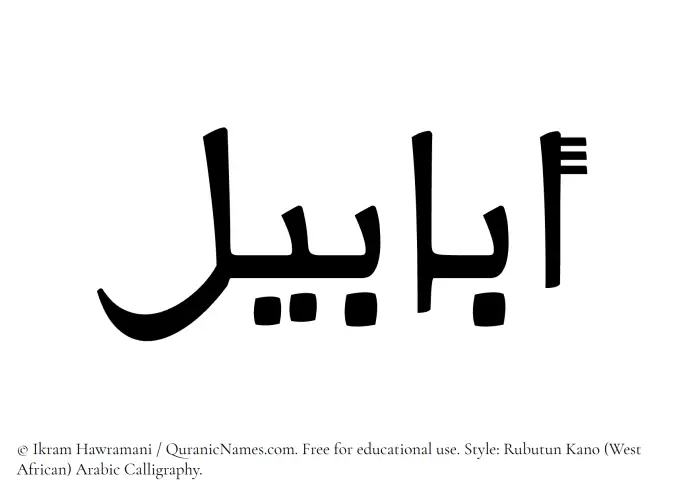 The Muslim name Ababil written in Rubutun Kano calligraphic script