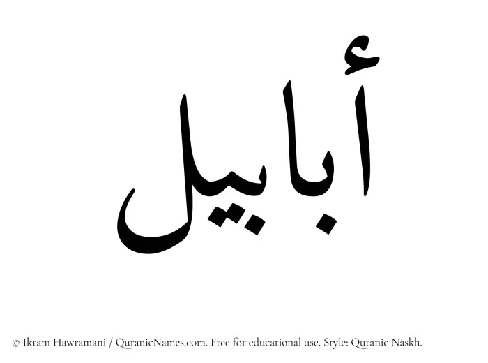The Muslim name Ababil written in Quranic naskh script
