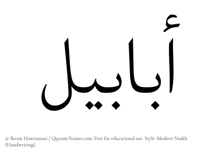 The Muslim name Ababil written in naskh script