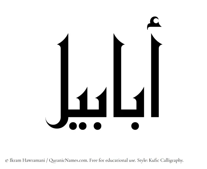 The Muslim name Ababil written in Kufi/Kufic calligraphic script