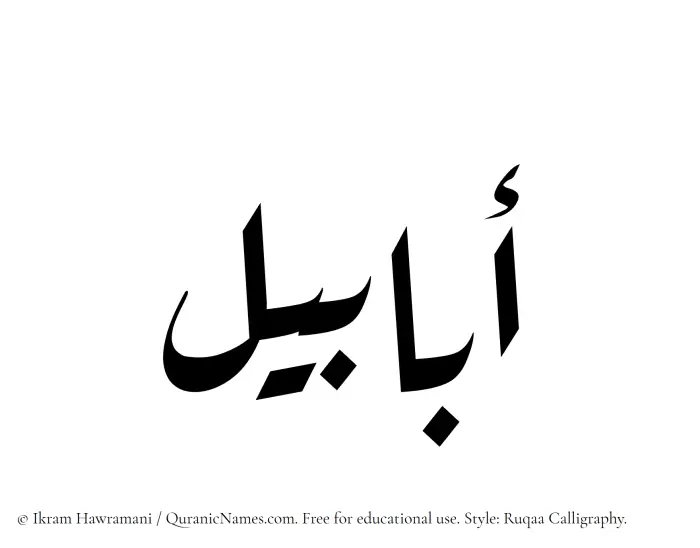 The Muslim name Ababil written in Ruqaa calligraphic script
