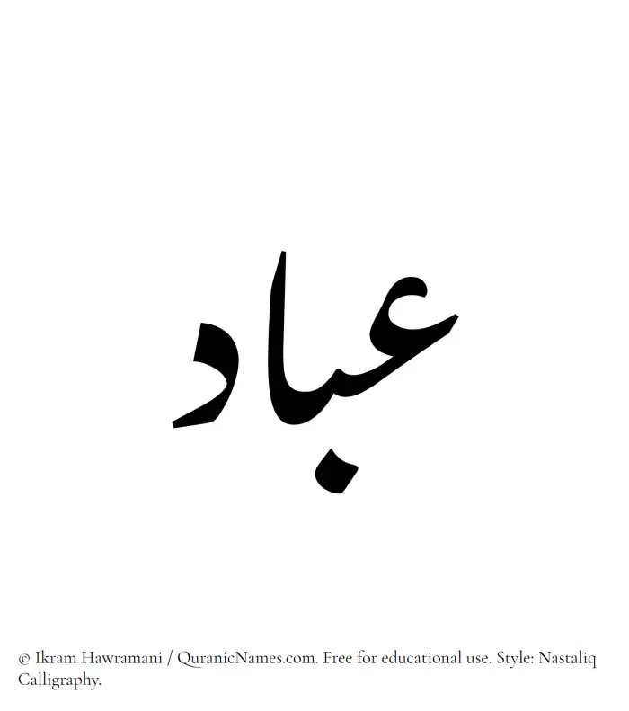 The Muslim name word Abbad written in Nastaliq calligraphic script