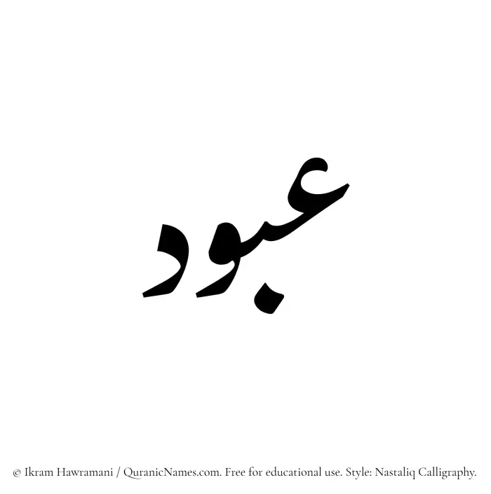 The Muslim name word Abbood written in Nastaliq calligraphic script