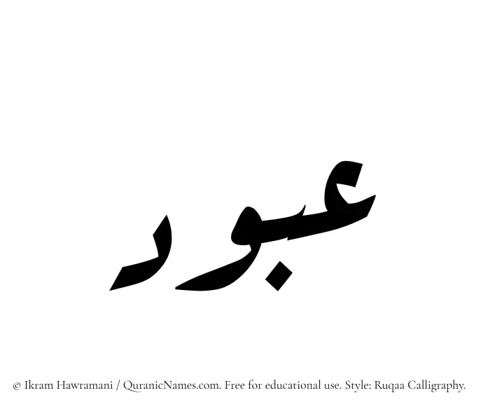 The Muslim name Abbood written in Ruqaa calligraphic script