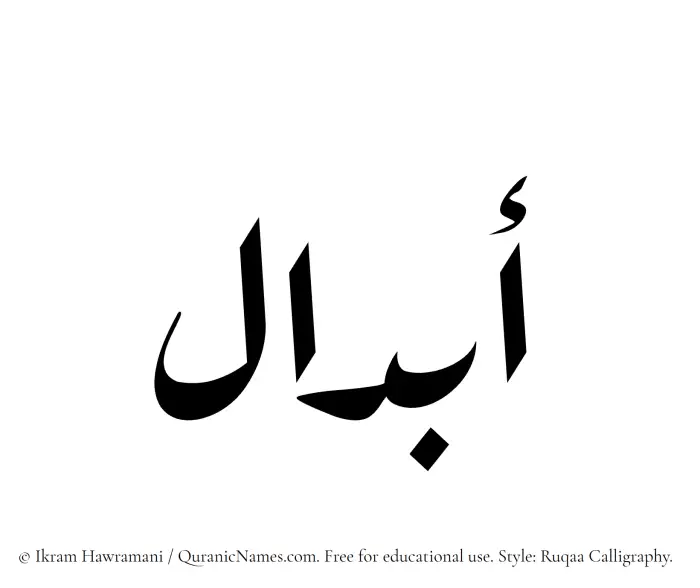 The Muslim name Abdaal written in Ruqaa calligraphic script