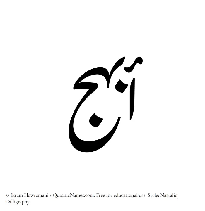 The Muslim name word Abhaj written in Nastaliq calligraphic script