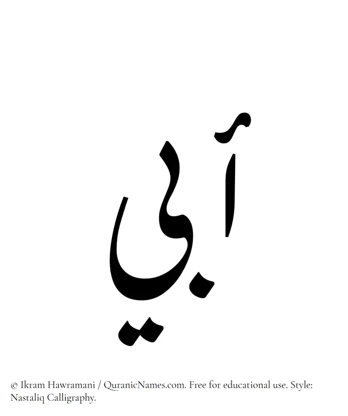 The Muslim name word Abi written in Nastaliq calligraphic script