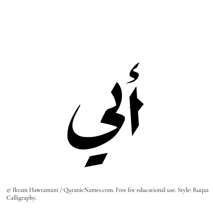 The Muslim name Abi written in Ruqaa calligraphic script