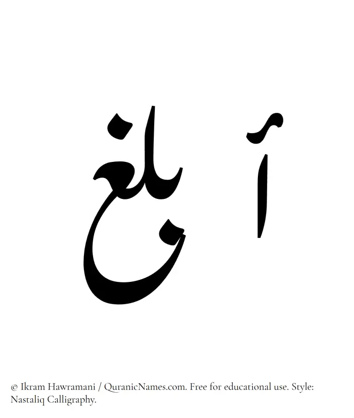 The Muslim name word Ablagh written in Nastaliq calligraphic script