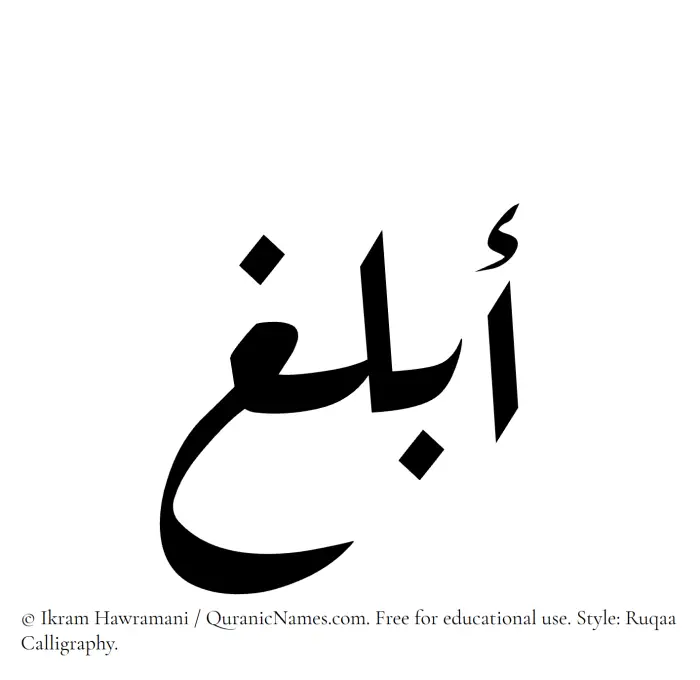 The Muslim name Ablagh written in Ruqaa calligraphic script