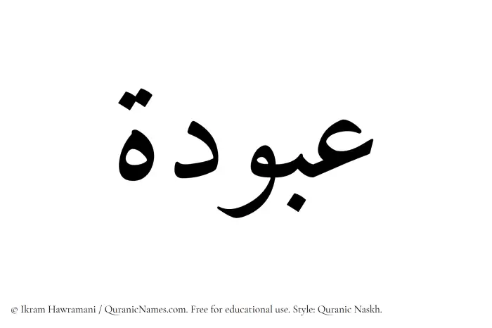 The Muslim name Abuda written in Quranic naskh script