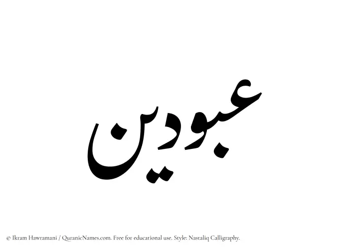 The Muslim name word Abudain written in Nastaliq calligraphic script
