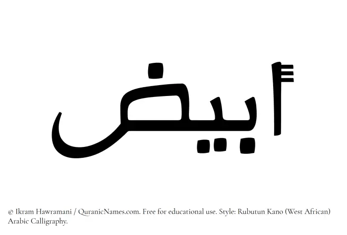 The Muslim name Abyaz written in Rubutun Kano calligraphic script