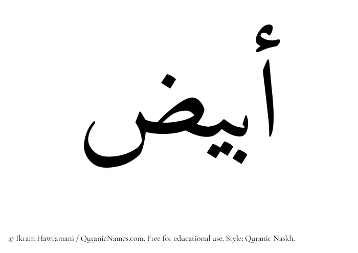 The Muslim name Abyaz written in Quranic naskh script