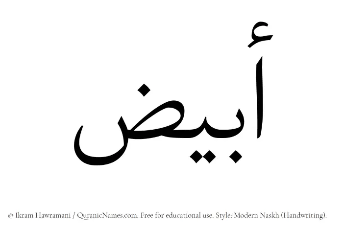 The Muslim name Abyaz written in naskh script