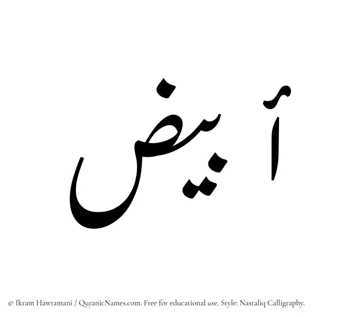The Muslim name word Abyaz written in Nastaliq calligraphic script