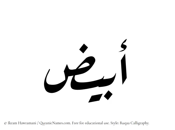 The Muslim name Abyaz written in Ruqaa calligraphic script