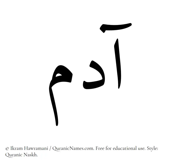 The Muslim name Adam written in Quranic naskh script