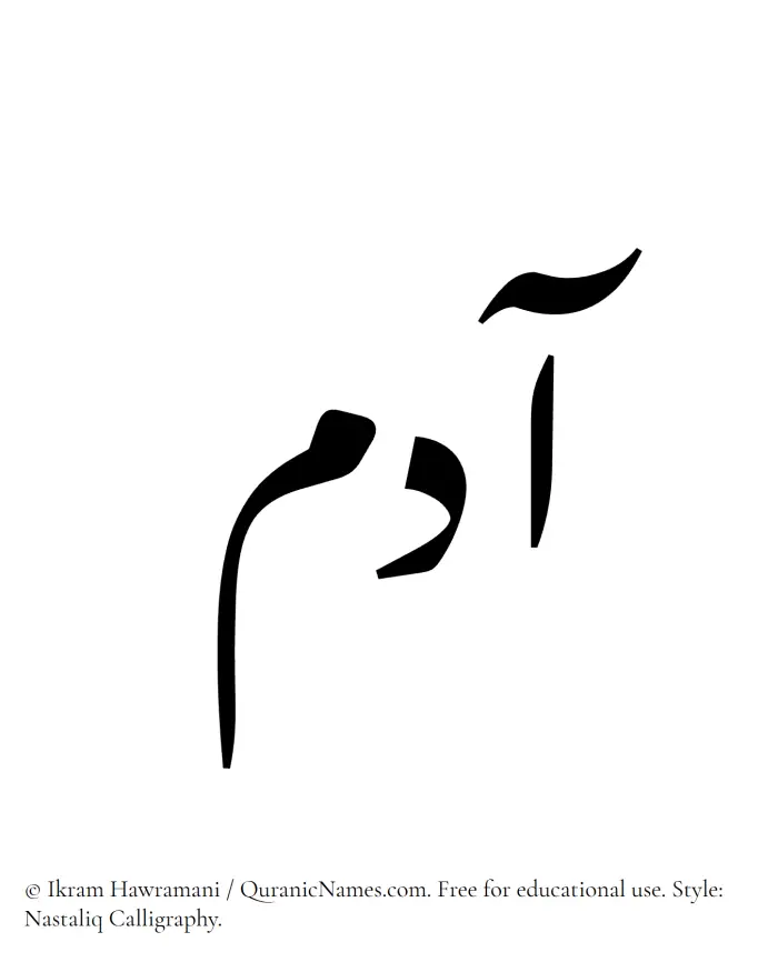 The Muslim name word Adam written in Nastaliq calligraphic script
