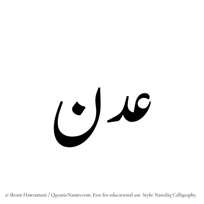 The Muslim name word Adan written in Nastaliq calligraphic script