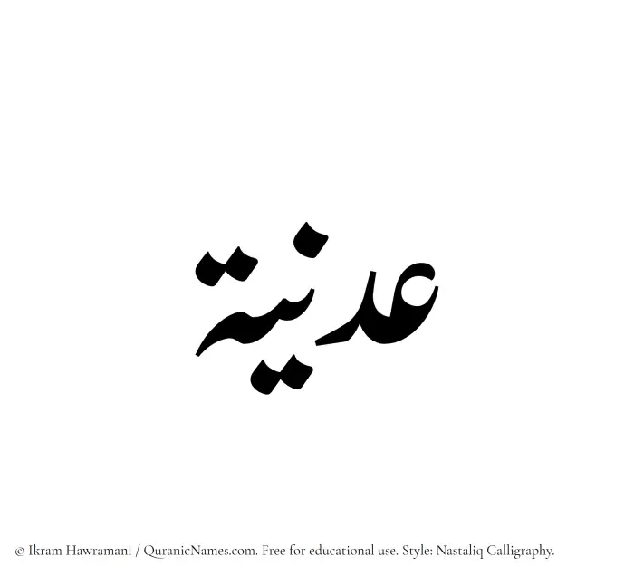 The Muslim name word Adaniyyah written in Nastaliq calligraphic script