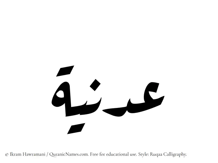 The Muslim name Adaniyyah written in Ruqaa calligraphic script