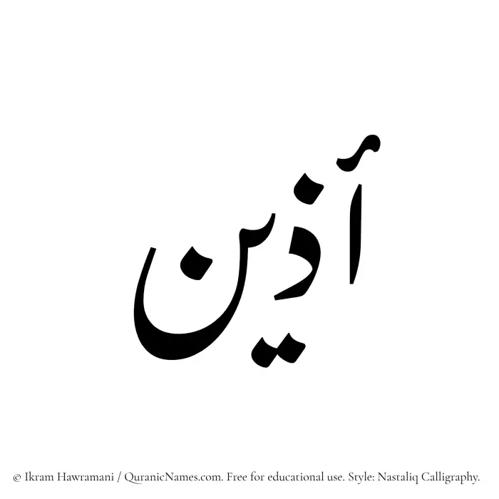 The Muslim name word Adeen written in Nastaliq calligraphic script