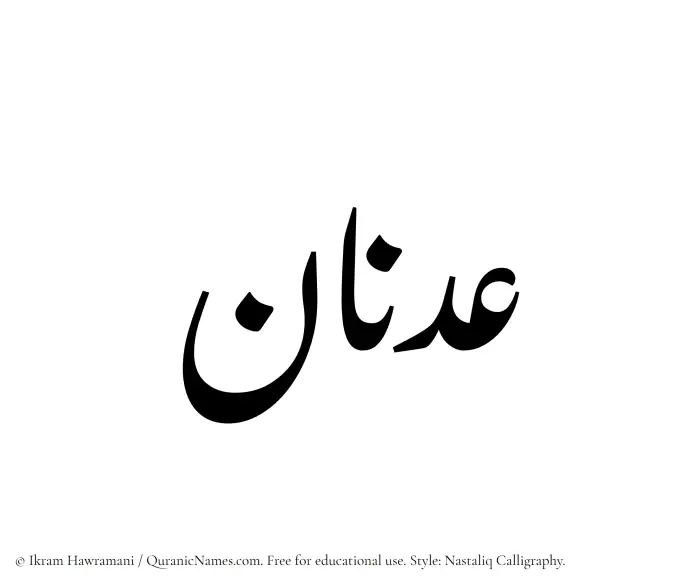 The Muslim name word Adnan written in Nastaliq calligraphic script