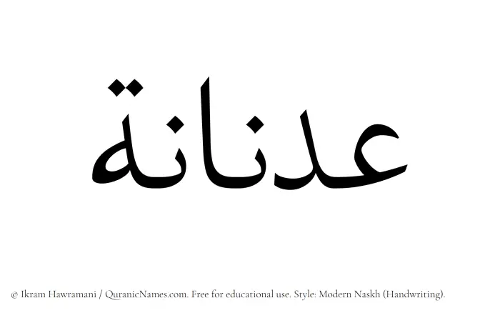 The Muslim name Adnanah written in naskh script