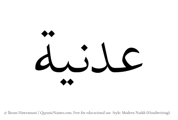 The Muslim name Adniyyah written in naskh script