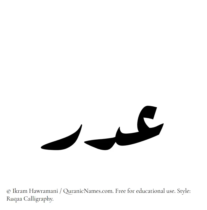 The Muslim name Adr written in Ruqaa calligraphic script