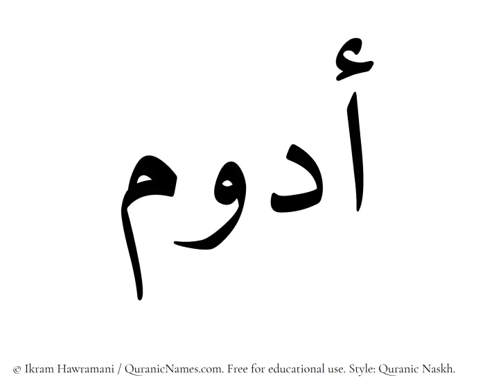 The Muslim name Adwam written in Quranic naskh script