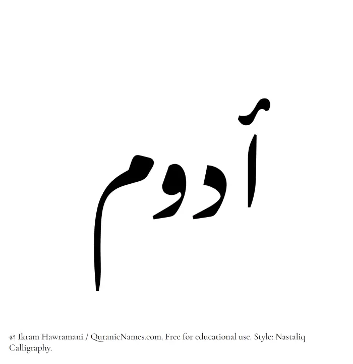 The Muslim name word Adwam written in Nastaliq calligraphic script