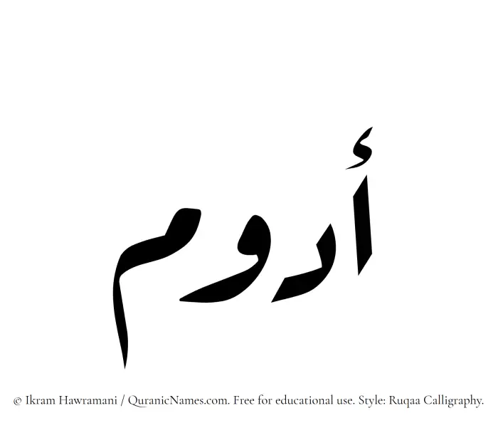 The Muslim name Adwam written in Ruqaa calligraphic script