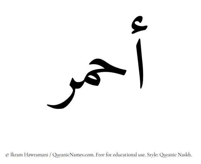 The Muslim name Ahmar written in Quranic naskh script