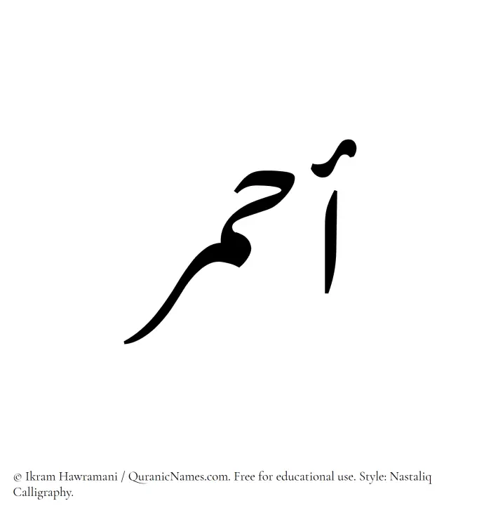 The Muslim name word Ahmar written in Nastaliq calligraphic script