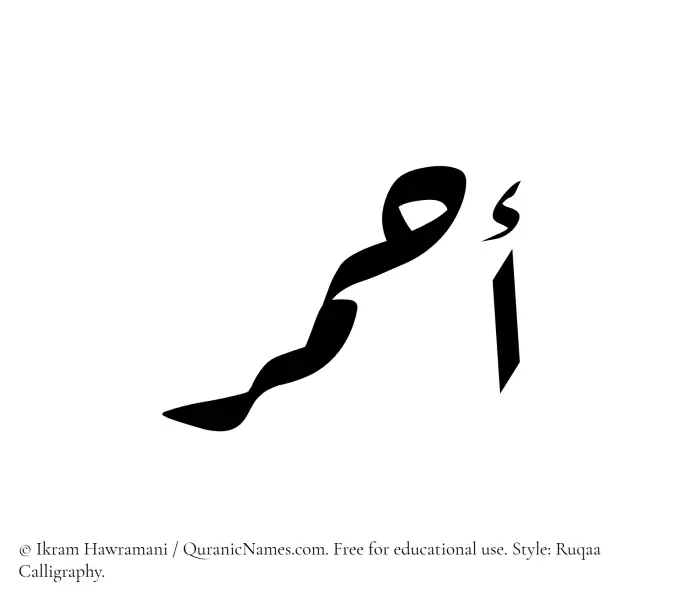 The Muslim name Ahmar written in Ruqaa calligraphic script