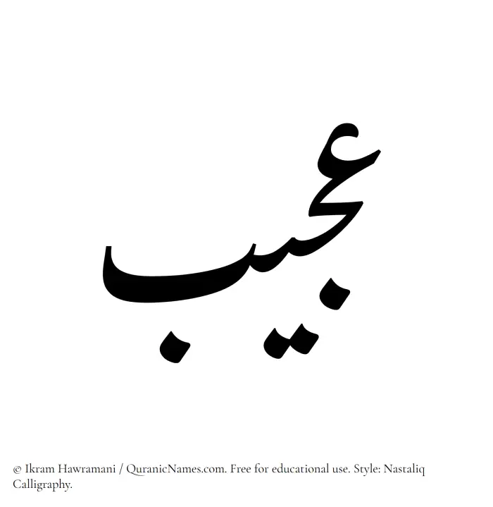 The Muslim name word Ajeeb written in Nastaliq calligraphic script