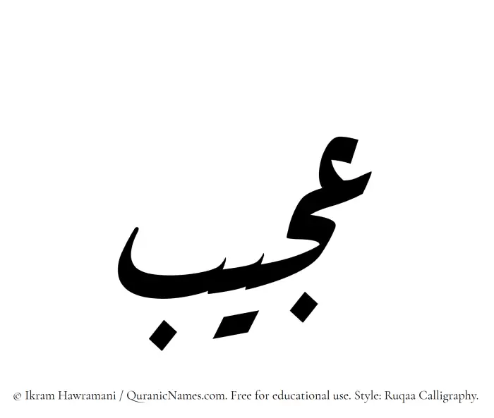 The Muslim name Ajeeb written in Ruqaa calligraphic script