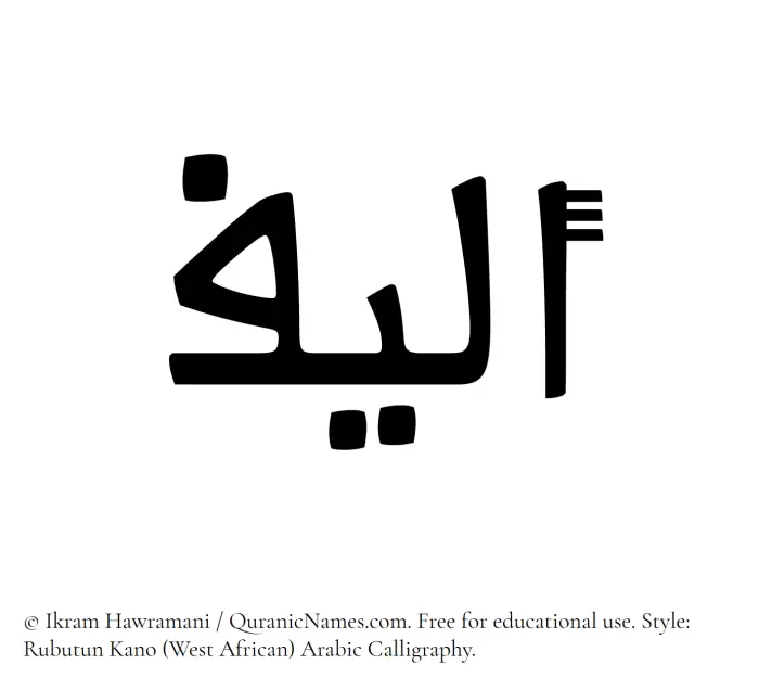 The Muslim name Aleef written in Rubutun Kano calligraphic script