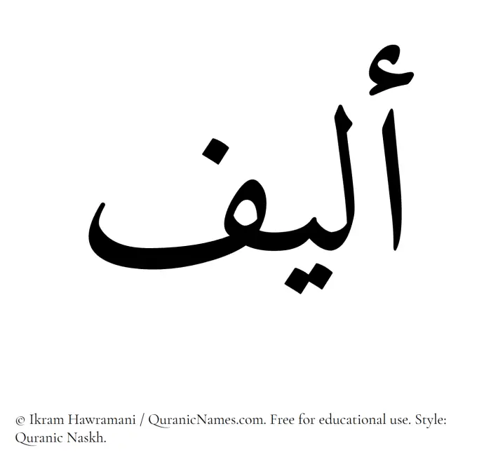 The Muslim name Aleef written in Quranic naskh script