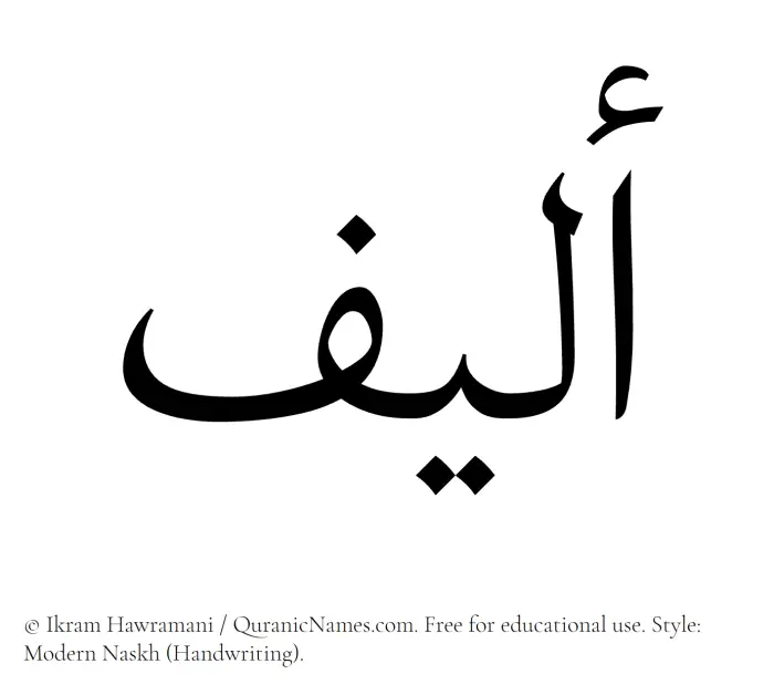 The Muslim name Aleef written in naskh script